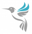 colibri-numetik colibri-numetik